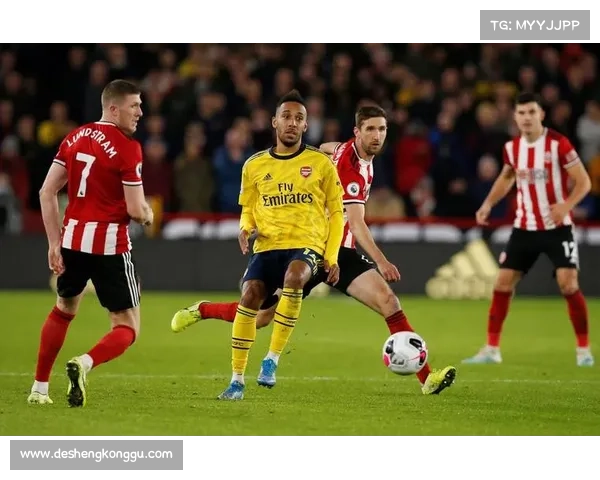 从多维角度探讨英冠赛事结果的真实性与竞技公平性分析