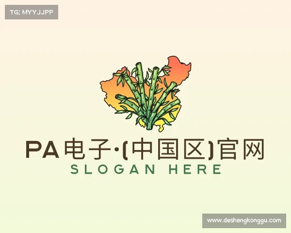 解读PA电子·(中国区)官网